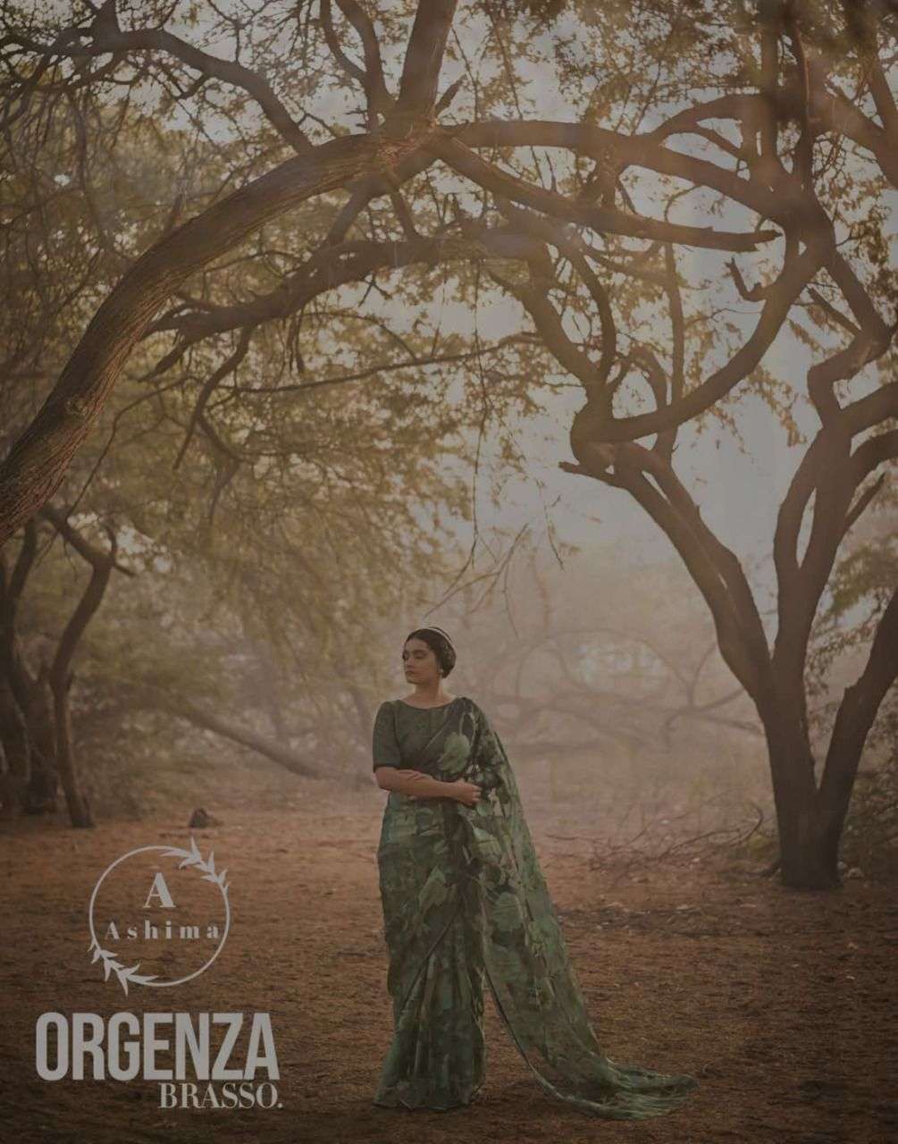 ORGANZA BRASSO BY ASHIMA 601 TO 608 SERIES INDIAN TRADITIONAL WEAR COLLECTION BEAUTIFUL STYLISH FANCY COLORFUL PARTY WEAR & OCCASIONAL WEAR ORGANZA BRASSO SAREES AT WHOLESALE PRICE