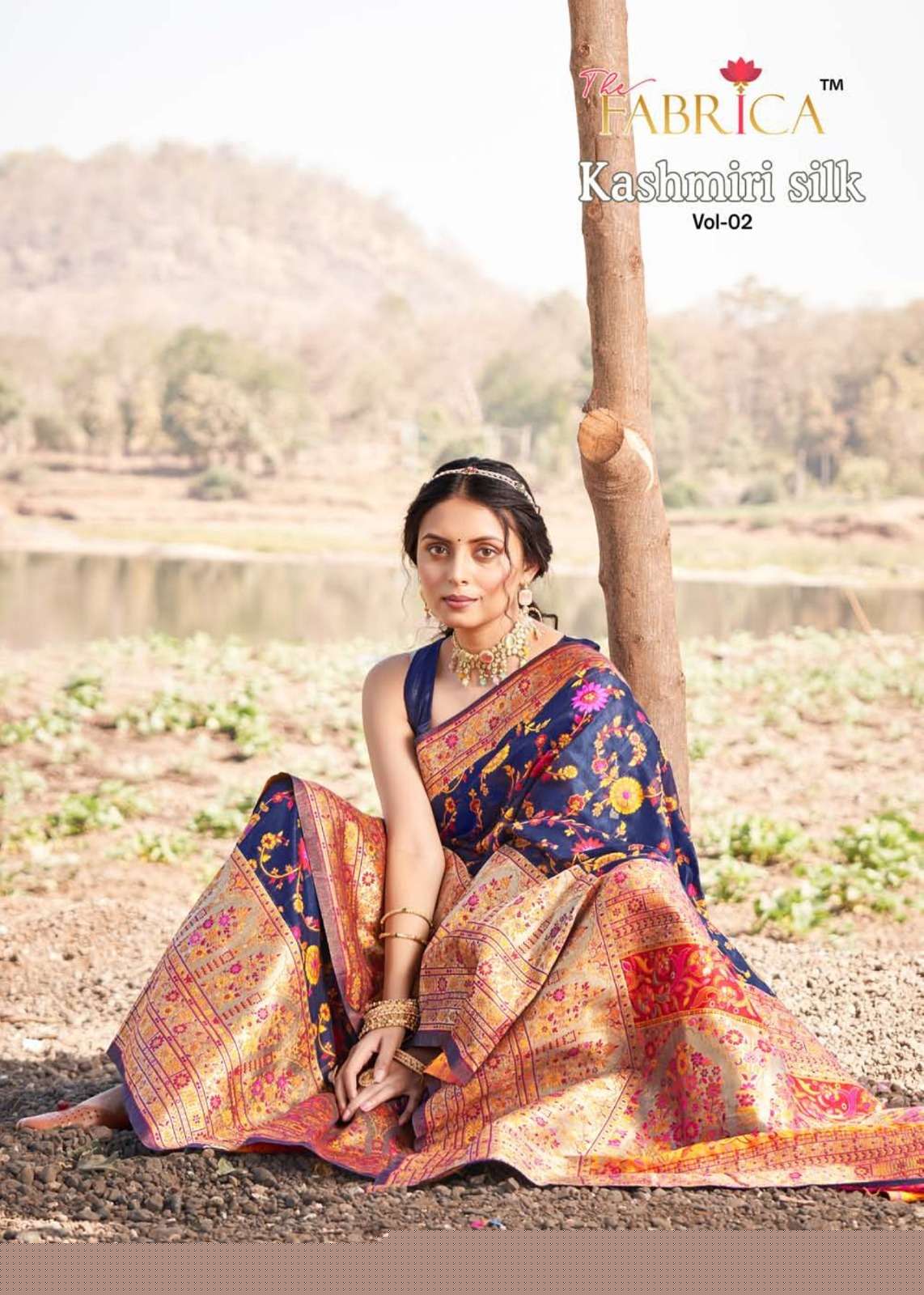 Kashmiri Silk Vol-2 By The Fabrica 35001 To 35006 Series Indian Traditional Wear Collection Beautiful Stylish Fancy Colorful Party Wear & Occasional Wear Pure Modal Sarees At Wholesale Price