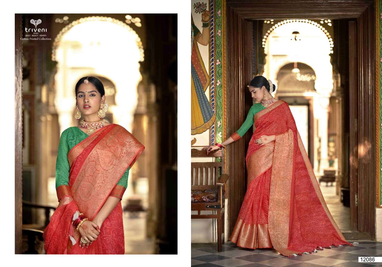 RANGRITI BY TRIVENI 12081 TO 12088 SERIES INDIAN TRADITIONAL WEAR COLLECTION BEAUTIFUL STYLISH FANCY COLORFUL PARTY WEAR & OCCASIONAL WEAR LINEN COTTON SAREES AT WHOLESALE PRICE