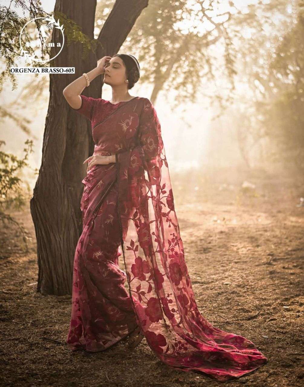 ORGANZA BRASSO BY ASHIMA 601 TO 608 SERIES INDIAN TRADITIONAL WEAR COLLECTION BEAUTIFUL STYLISH FANCY COLORFUL PARTY WEAR & OCCASIONAL WEAR ORGANZA BRASSO SAREES AT WHOLESALE PRICE