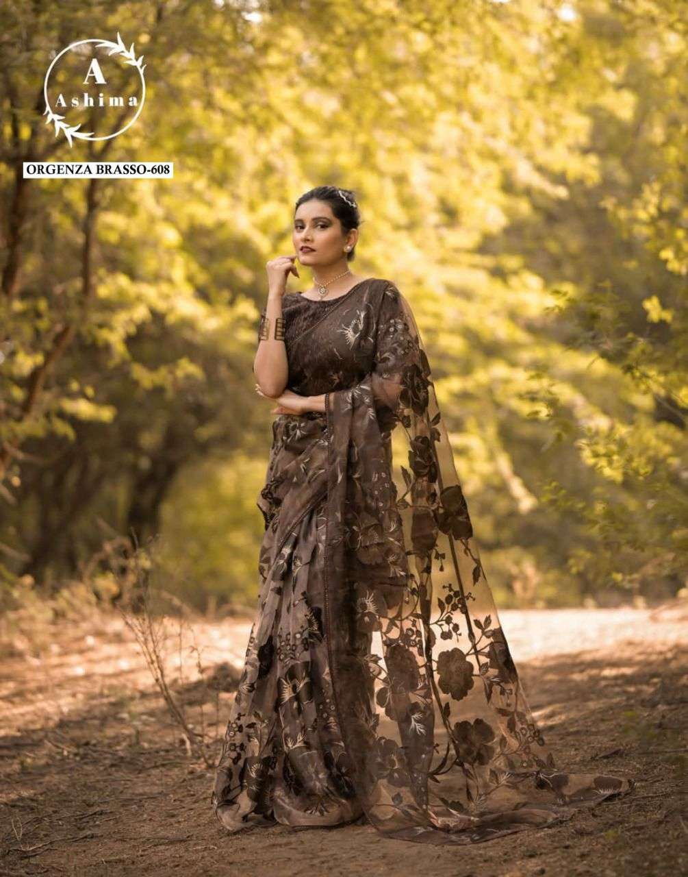 ORGANZA BRASSO BY ASHIMA 601 TO 608 SERIES INDIAN TRADITIONAL WEAR COLLECTION BEAUTIFUL STYLISH FANCY COLORFUL PARTY WEAR & OCCASIONAL WEAR ORGANZA BRASSO SAREES AT WHOLESALE PRICE