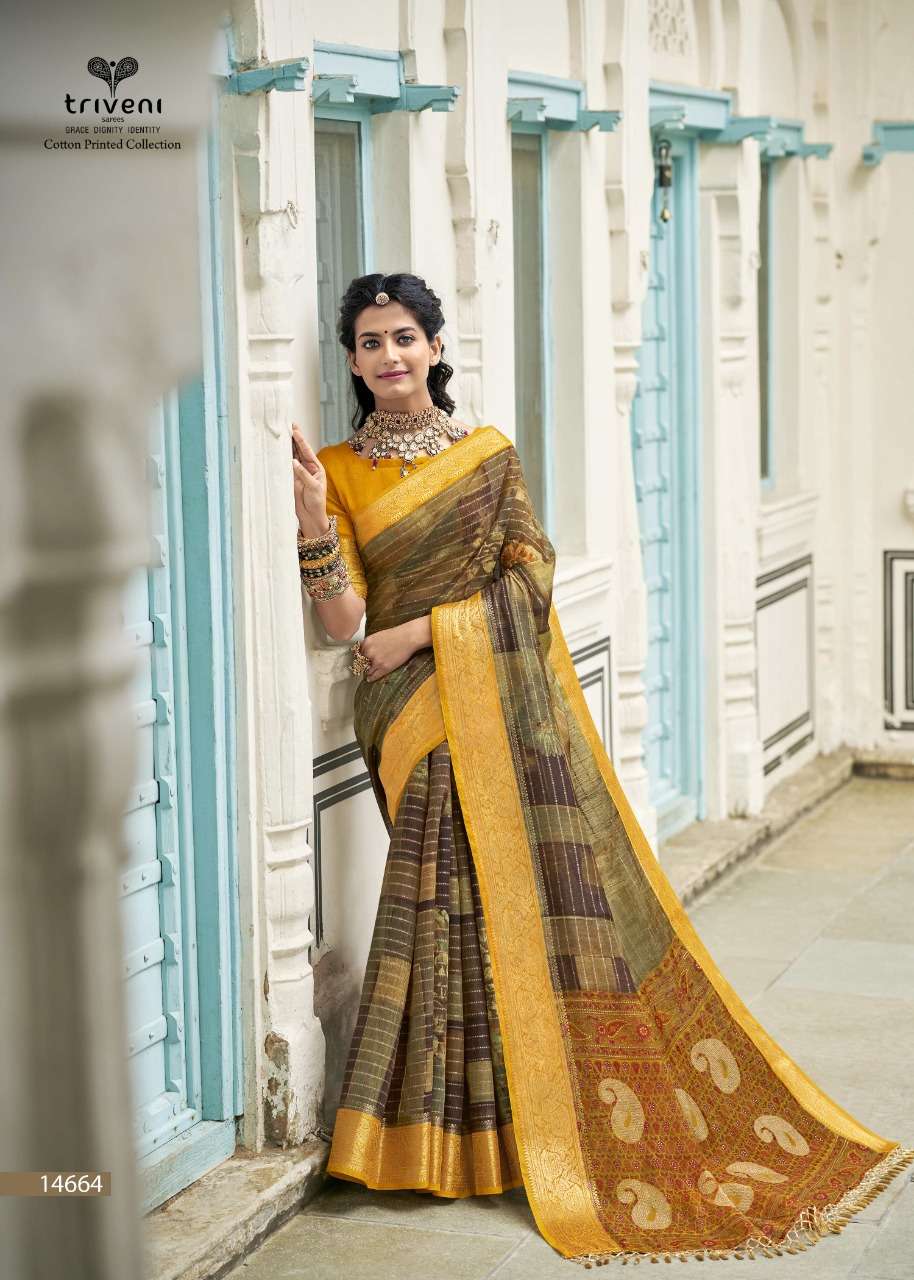 DWARIKA BY TRIVENI 14661 TO 14668 SERIES INDIAN TRADITIONAL WEAR COLLECTION BEAUTIFUL STYLISH FANCY COLORFUL PARTY WEAR & OCCASIONAL WEAR COTTON LINEN SAREES AT WHOLESALE PRICE
