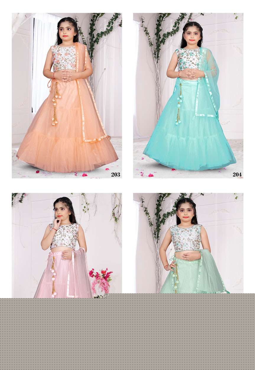 Aaradhna Vol-24 By Fashid Wholesale 203 To 206 Series Beautiful Colorful Fancy Wedding Collection Occasional Wear & Party Wear Heavy Net Lehengas At Wholesale Price