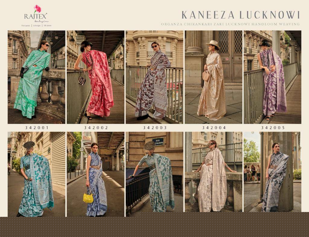 Kaneeza Lucknowi By Raj Tex 342001 To 342010 Series Indian Traditional Wear Collection Beautiful Stylish Fancy Colorful Party Wear & Occasional Wear Organza Sarees At Wholesale Price