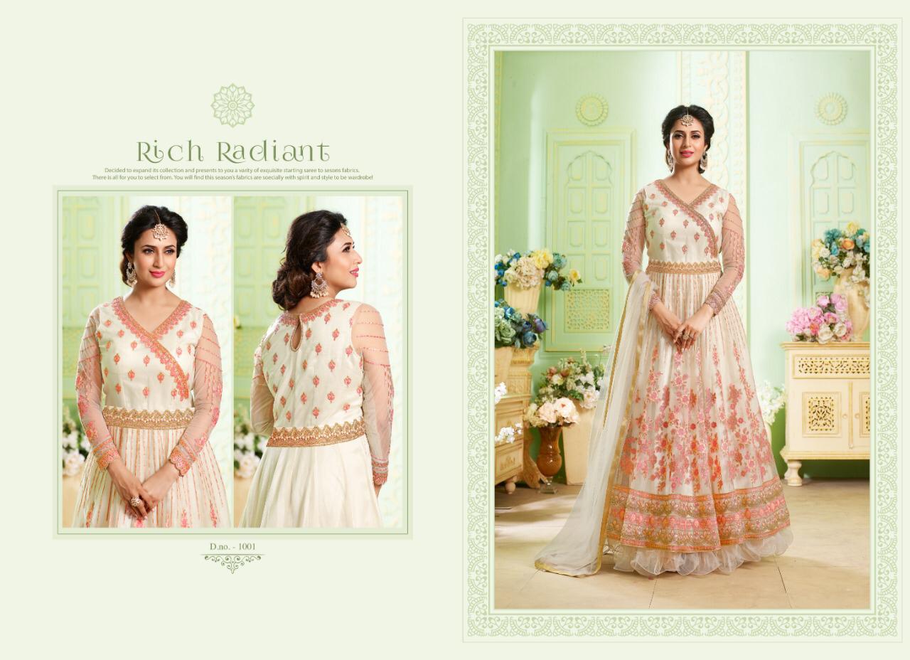 Mrigni Vol-6 By Mrigni 1001 To 1006 Series Indian Traditional Wear Collection Beautiful Stylish Fancy Colorful Party Wear & Occasional Wear Butterfly Net With Embroidery Dress At Wholesale Price