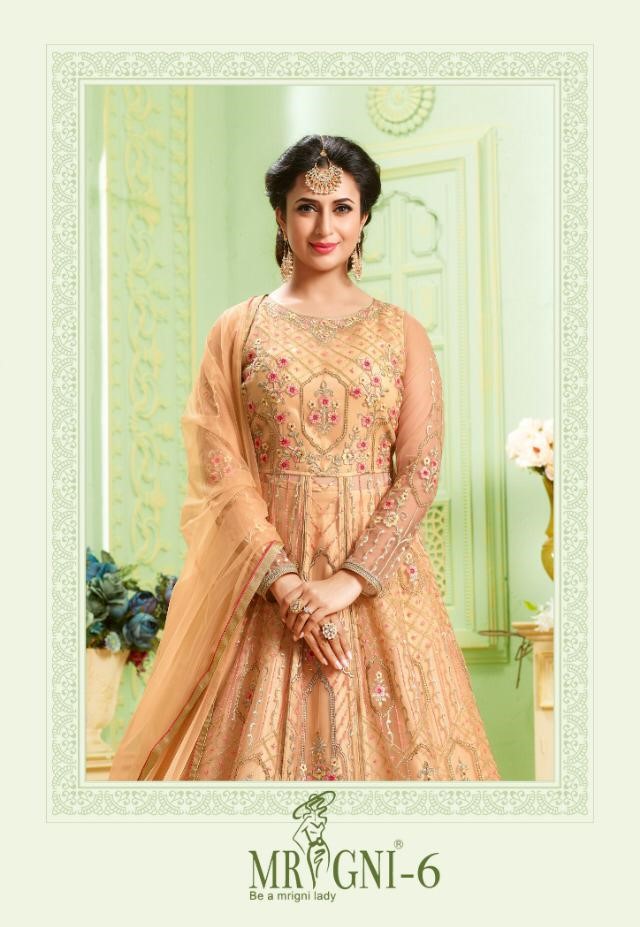 Mrigni Vol-6 By Mrigni 1001 To 1006 Series Indian Traditional Wear Collection Beautiful Stylish Fancy Colorful Party Wear & Occasional Wear Butterfly Net With Embroidery Dress At Wholesale Price