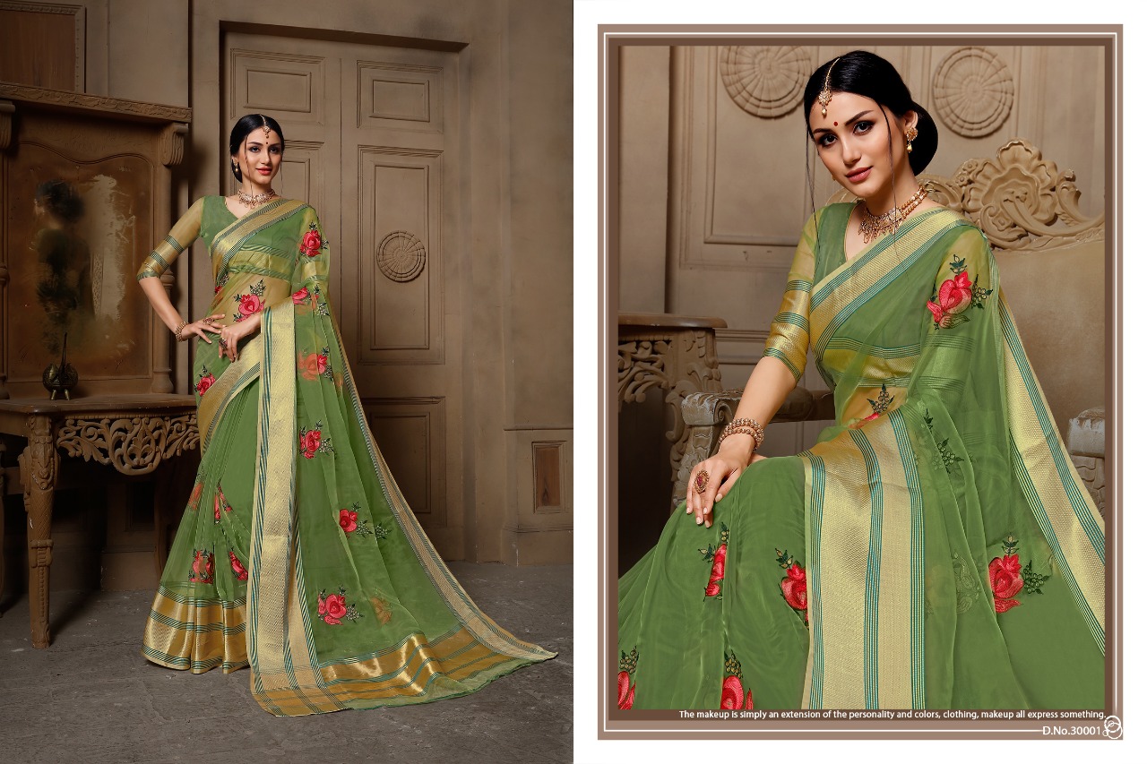 Stuti By Aanchal Sarees 30001 To 30010 Series Indian Traditional Wear Collection Beautiful Stylish Fancy Colorful Party Wear & Occasional Wear Organza Embroidered Sarees At Wholesale Price