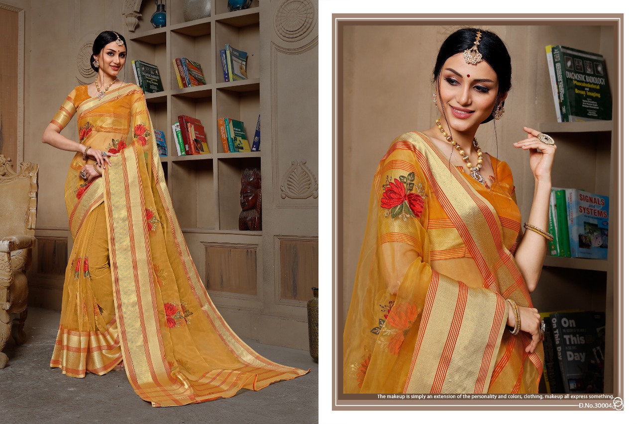 Stuti By Aanchal Sarees 30001 To 30010 Series Indian Traditional Wear Collection Beautiful Stylish Fancy Colorful Party Wear & Occasional Wear Organza Embroidered Sarees At Wholesale Price