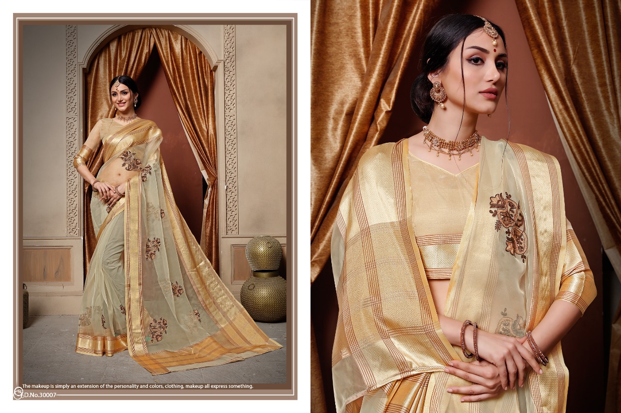 Stuti By Aanchal Sarees 30001 To 30010 Series Indian Traditional Wear Collection Beautiful Stylish Fancy Colorful Party Wear & Occasional Wear Organza Embroidered Sarees At Wholesale Price