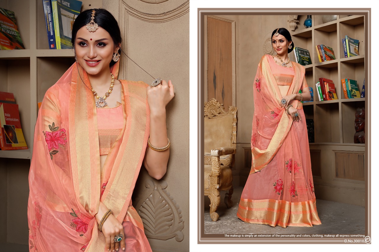 Stuti By Aanchal Sarees 30001 To 30010 Series Indian Traditional Wear Collection Beautiful Stylish Fancy Colorful Party Wear & Occasional Wear Organza Embroidered Sarees At Wholesale Price